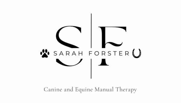 Sarah Forster Animal Chiropractic
