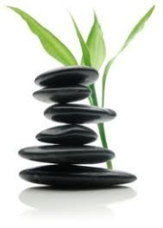 Alma Wellness