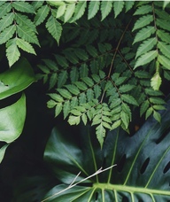 Book an Appointment with Ms. Jenna Pittman for -- Tailored Massage --